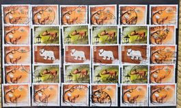 SUISSE multiples, décoratif