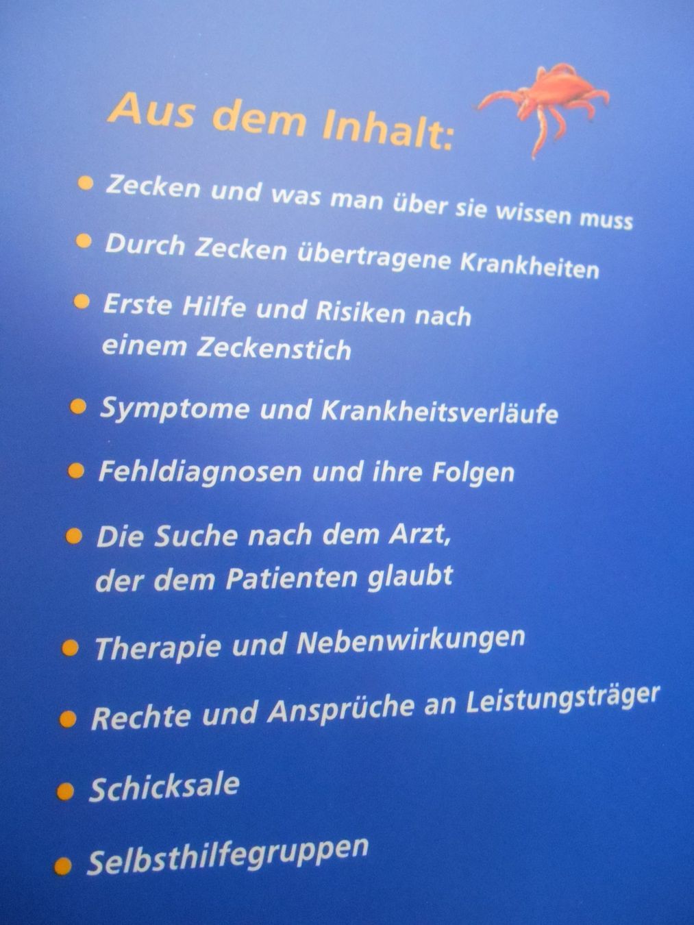 Libri: Borreliose - Zeckeninfektion mit Tarnkappe – Nuovo (secondo la descrizione) da Nussbaumen AG venduto da Sumopi 2