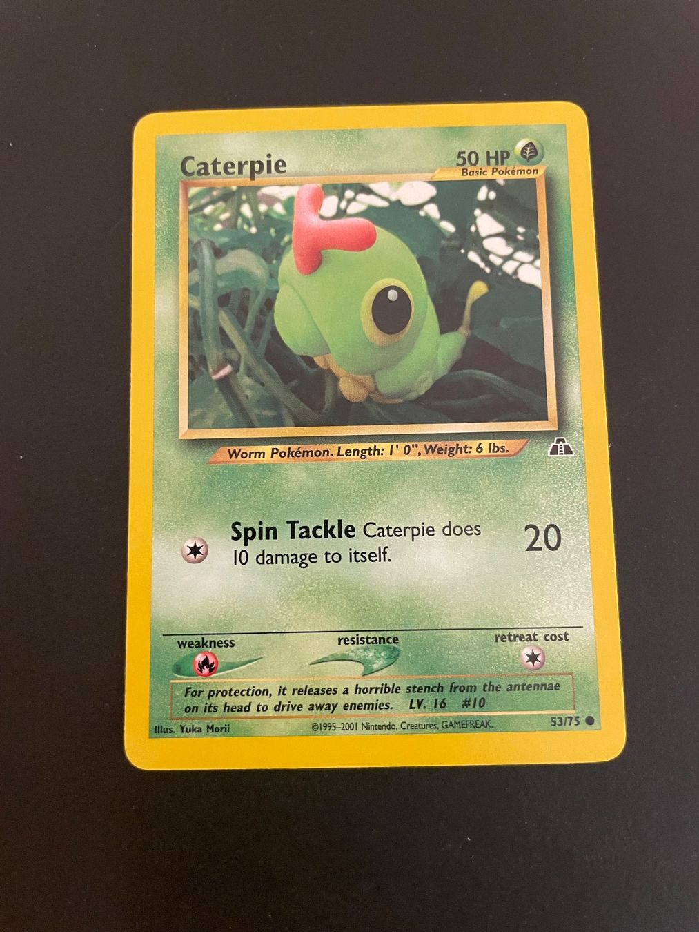 Pokémon Carte collezionabili: Caterpie Neo Discovery 53/75 – Usato da Zürich venduto da pokemon_cards