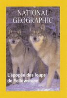 National Geographic - L'épopée des loups de Yellowstone