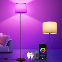 RGB Stehlampe LED WLAN App Alexa Musikmodus dimmbar