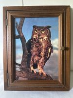 Holz Schlüsselkasten Eule Bild Vintage 6 Haken 25cm x 31cm L