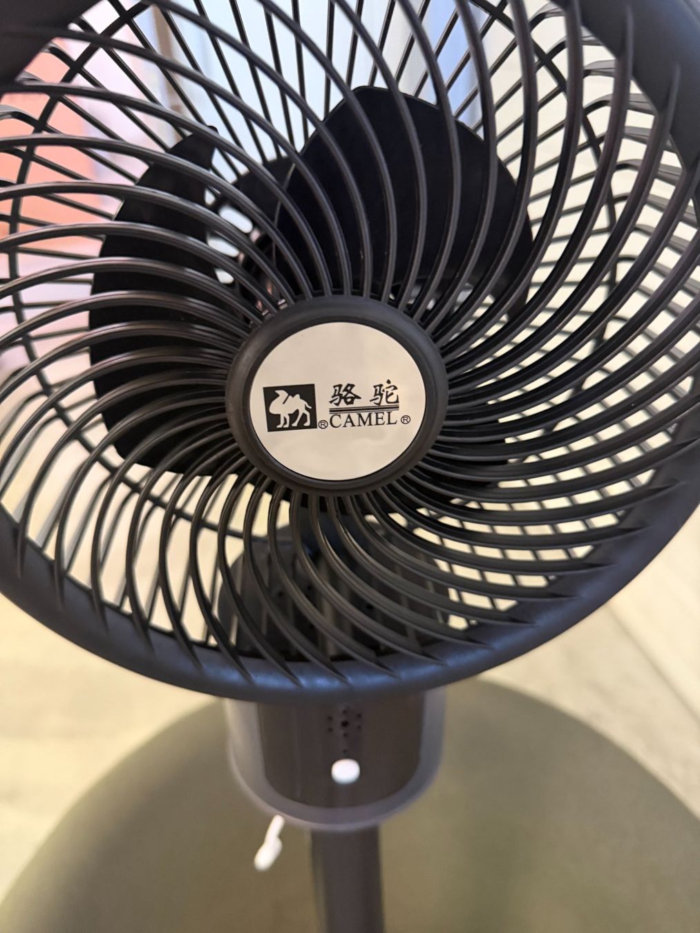 Ventilatori: Standventilator – Nuovo e nell'imballaggio originale da Arbon venduto da Secretpacks-SchLau 1