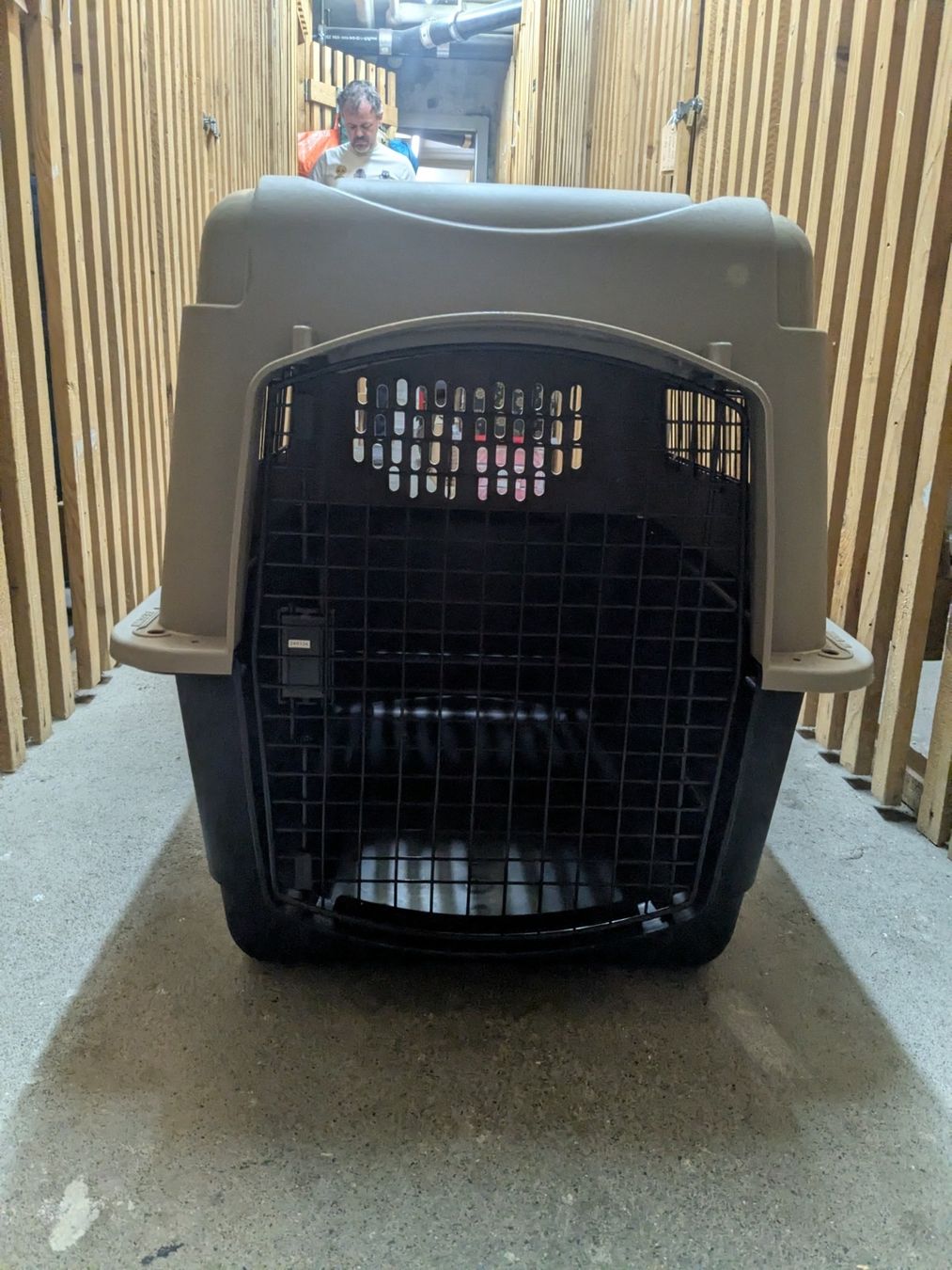 Gabbie, trasporto & Sicurezza: Transportbox for Pets, Grey, Large Size, Good Condition – Usato da Rüfenacht BE venduto da sha_6wlp