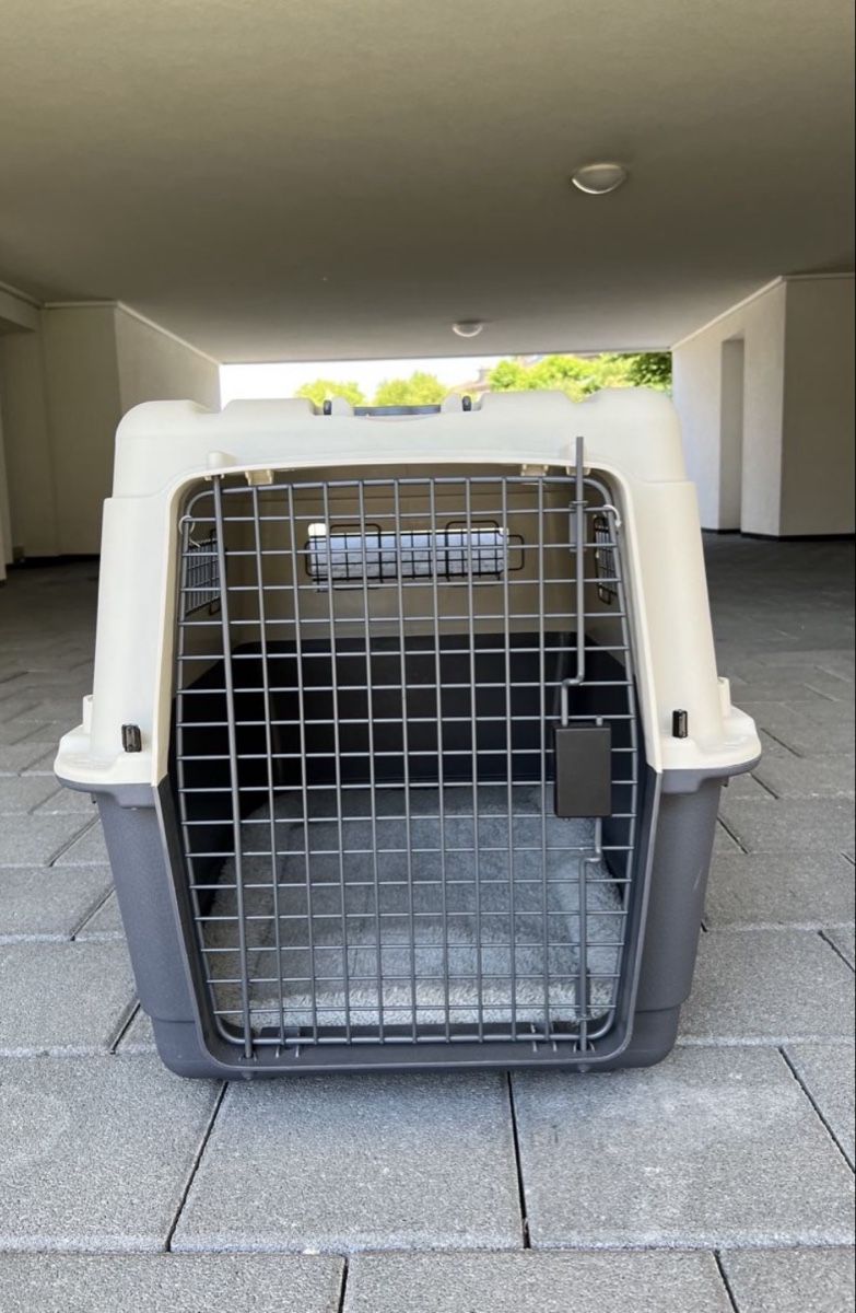 Gabbie, trasporto & Sicurezza: Hundebox – Usato da Winterthur venduto da Andrin_Stoeckli