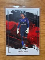 Panini Impeccable David Raya /59