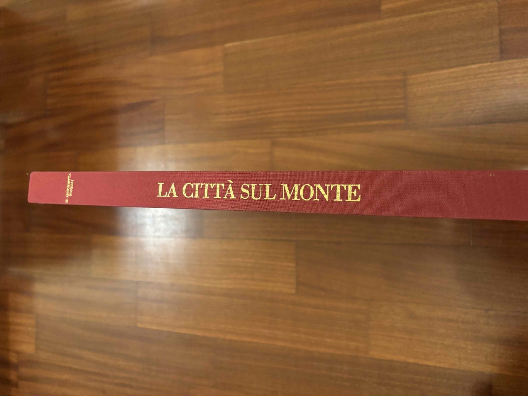 Libri: La Città sul Monte – Usato da Lugano venduto da Mark_Young 1