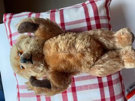 Sehr gut erhaltener Teddybär mit drehbarem Kopf
