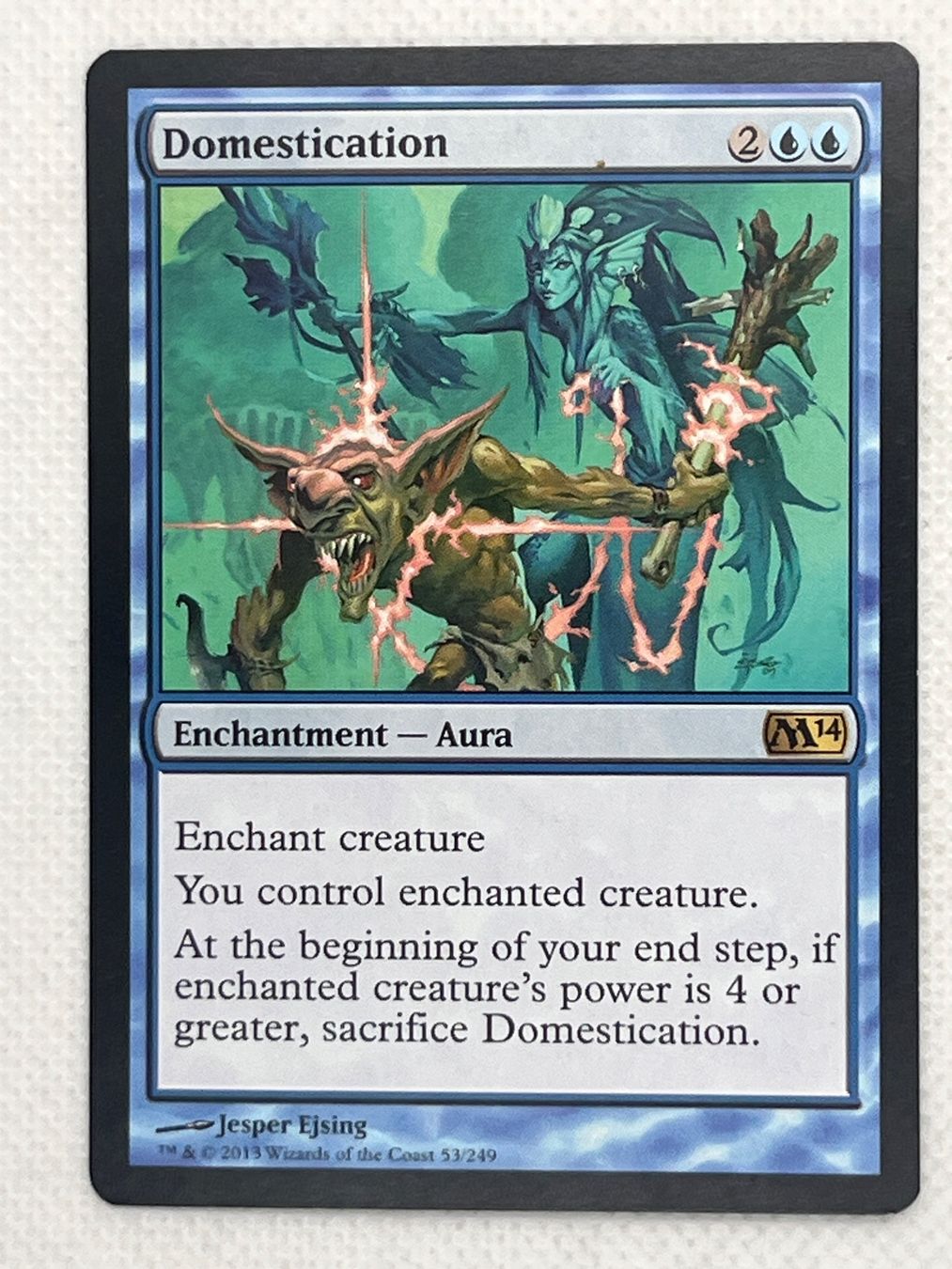 Magic The Gathering Carte collezionabili: MTG Domestication M14 053 Englisch Rare – Usato da Hinterkappelen venduto da Kim1992