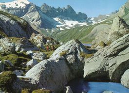 Flims - Segnesboden mit Tschingelhörner