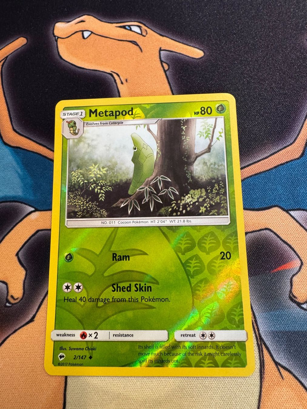 Pokémon Sammelbilder & Trading cards: Metapod (BUS 2) - Reverse Holo - Burning Shadows – Neu (gemäss Beschreibung) aus Bülach von Pfrenzel