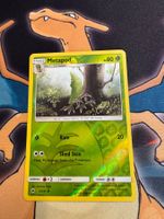 Metapod (BUS 2) - Reverse Holo - Burning Shadows