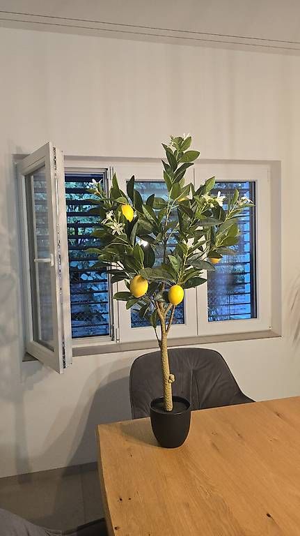 Plantes & graines: Zitronenbaum Kunstpflanze ca 100 cm – D'occasion à Bazenheid par Exo_Tic