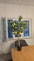 Zitronenbaum Kunstpflanze ca 100 cm
