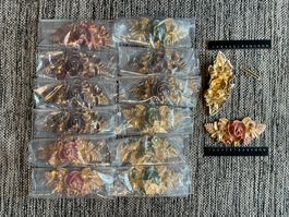 14 Gürtelschnallen Restposten