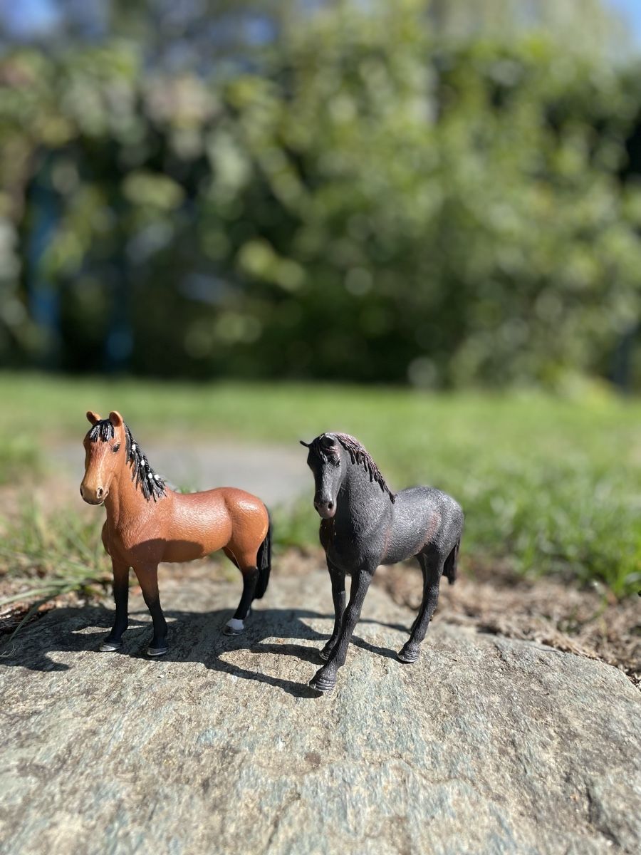 Schleich Giocattoli: Collection de chevaux Schleich  – Nuovo (secondo la descrizione) da Bussigny-sur-Oron venduto da adaouk 1