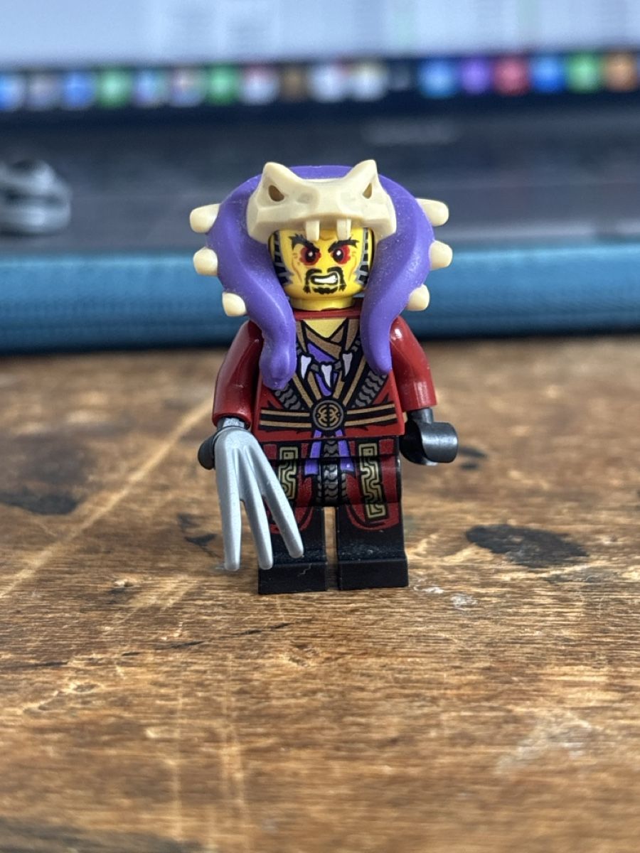 Lego Spielzeuge: Chen Lego Ninjago  – Gebraucht aus murten von kam_9wqw