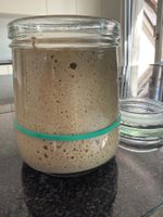 Bio Sauerteig - sour dough - Starter zu verkaufen