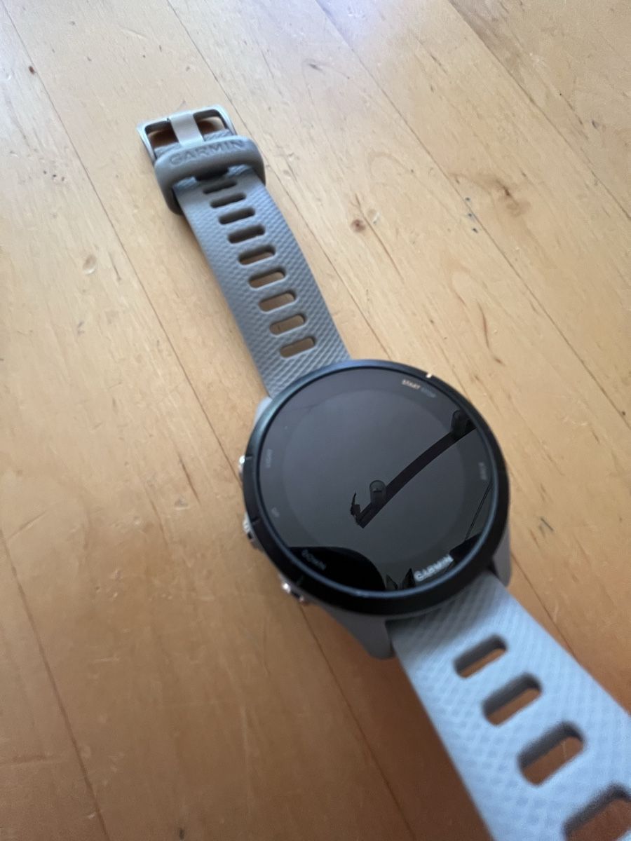 Garmin Smartwatch: Garmin Forerunner 255s Grau - Top Zustand – Gebraucht aus Basel von Tobias.99 2