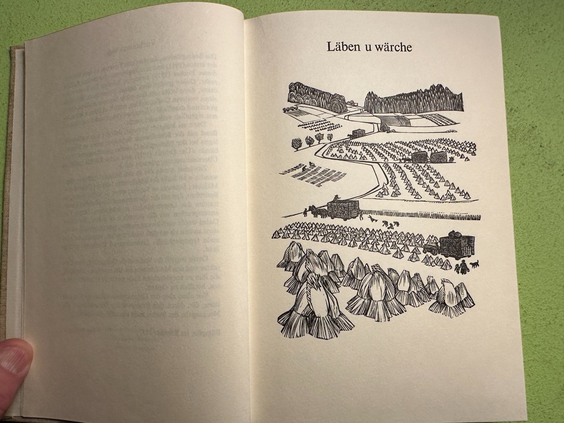 Libri: C. A. Loosli: Mys Ämmital. – Usato da Zürich venduto da allp 3
