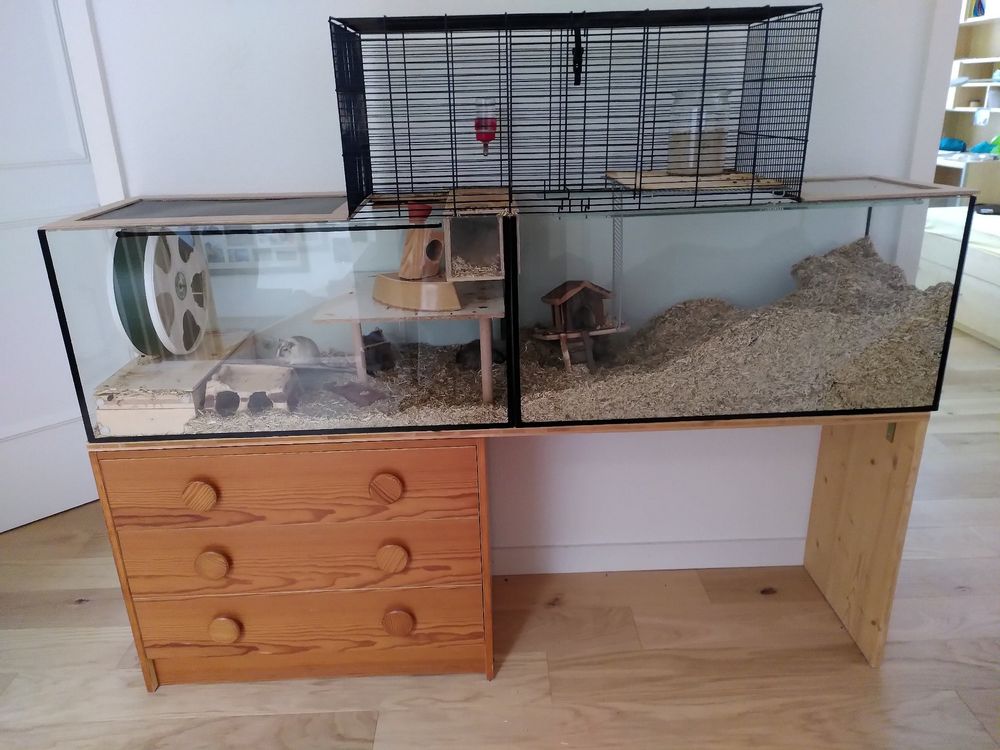 PawHut Hamsterkäfig 3 Etagen – 57x43x74 Cm, Mit Rädern, Futterschale & Wasserflasche, Schwarz