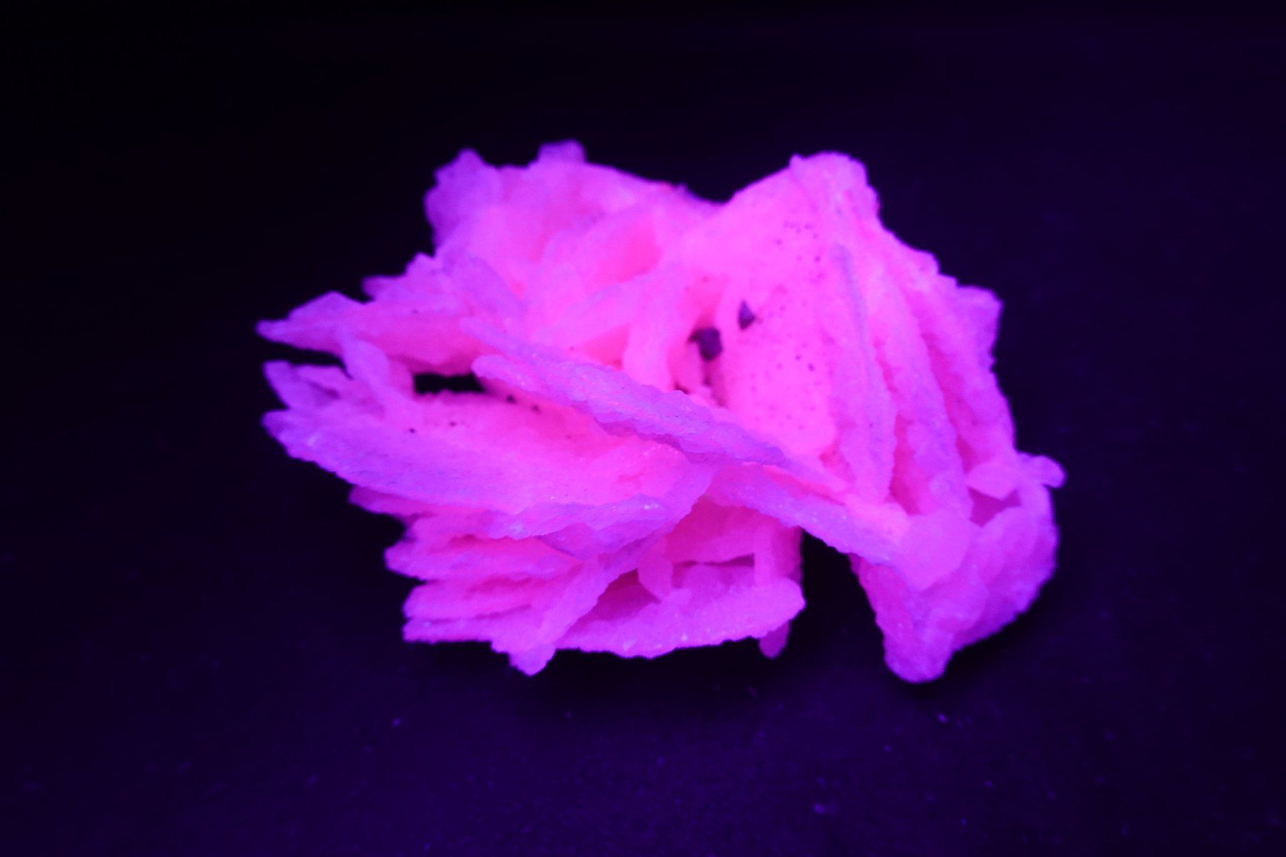Minerali & Pietre curative: Calcit var. Manganoan (UV-Pink) – Usato da Schinznach Bad venduto da Demerald 9