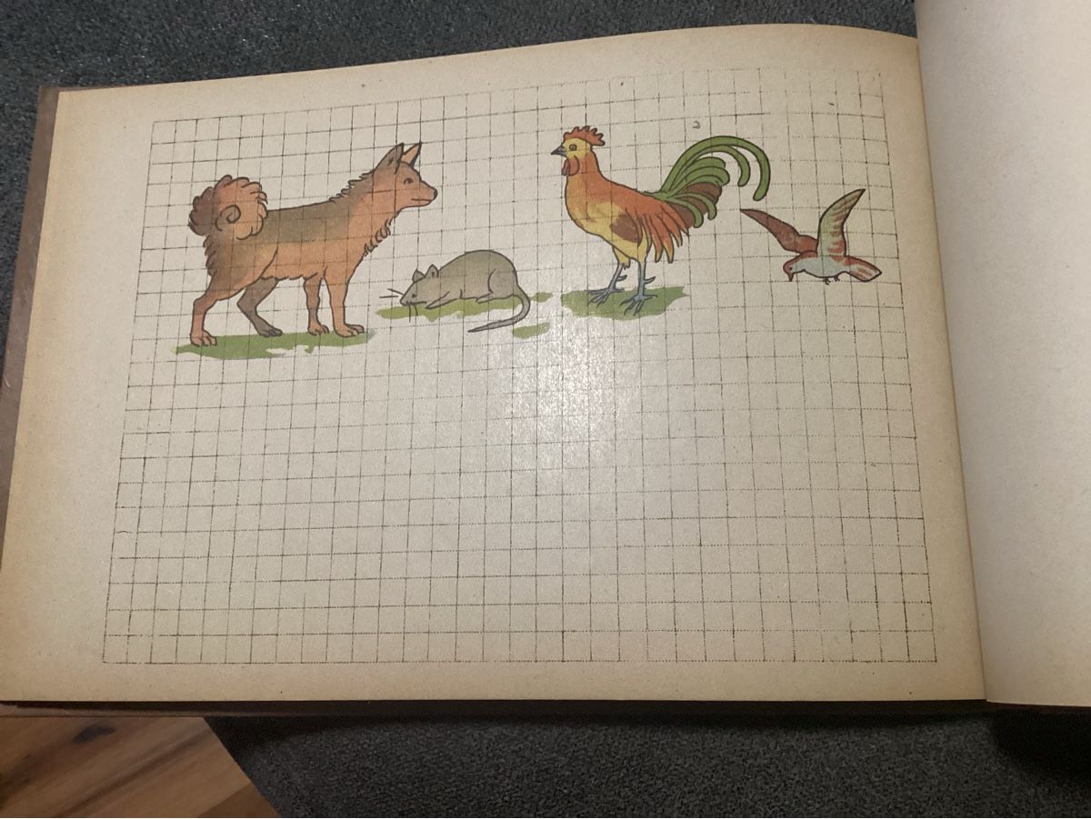 Libri: ANTIKES KINDER VORLAGEBUCH UM 1900 – Usato da Münchenstein venduto da NoSu98 6