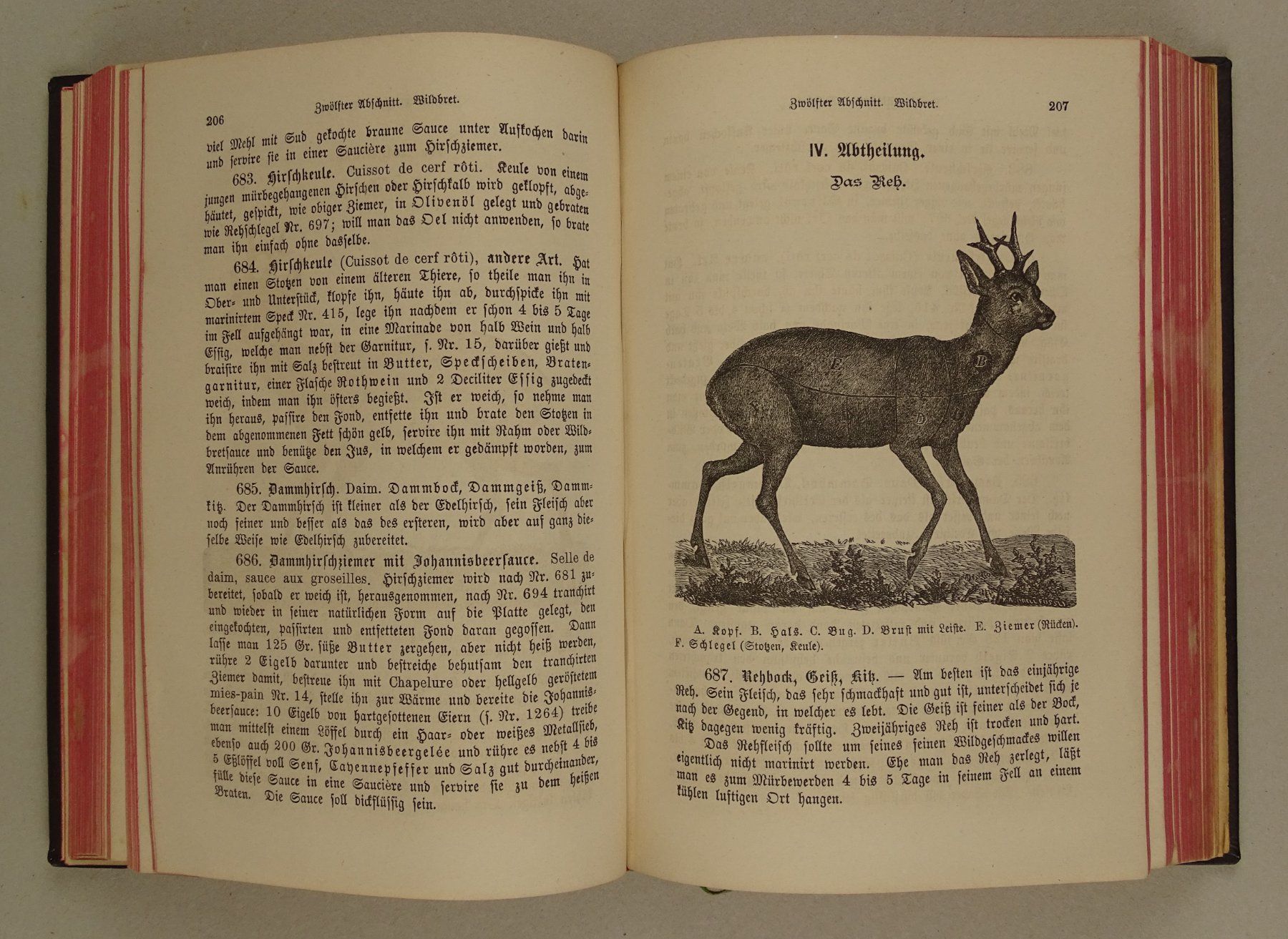 Libri: BASLER KOCHSCHULE 1893 – Usato da Grüningen venduto da Kartensammler 5