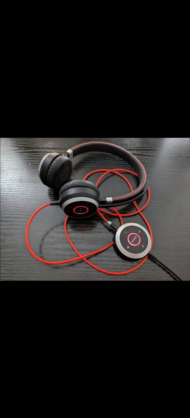 Jabra Cuffie: Jabra Evolve 40 Stereo MS Corded Headset neu – Nuovo e nell'imballaggio originale da Aesch BL venduto da Gebrauchtes_AeschBL 1