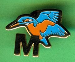 MIGROS  Eisvogel