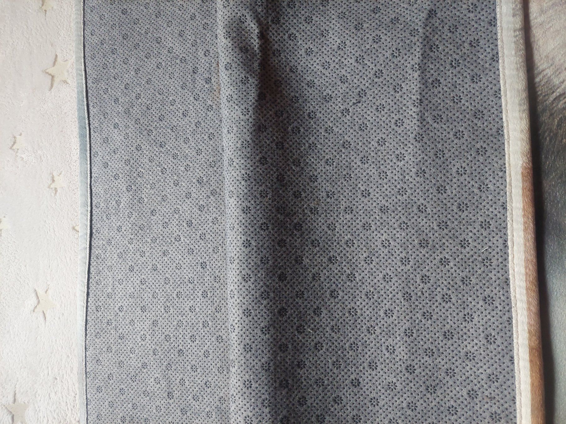 Conforama Tappeti: Teppich Wolf 160 x 120 – Usato da Rüttenen venduto da Pinie14 2