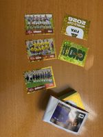 Panini Sticker WM 124 keine Doppelten 