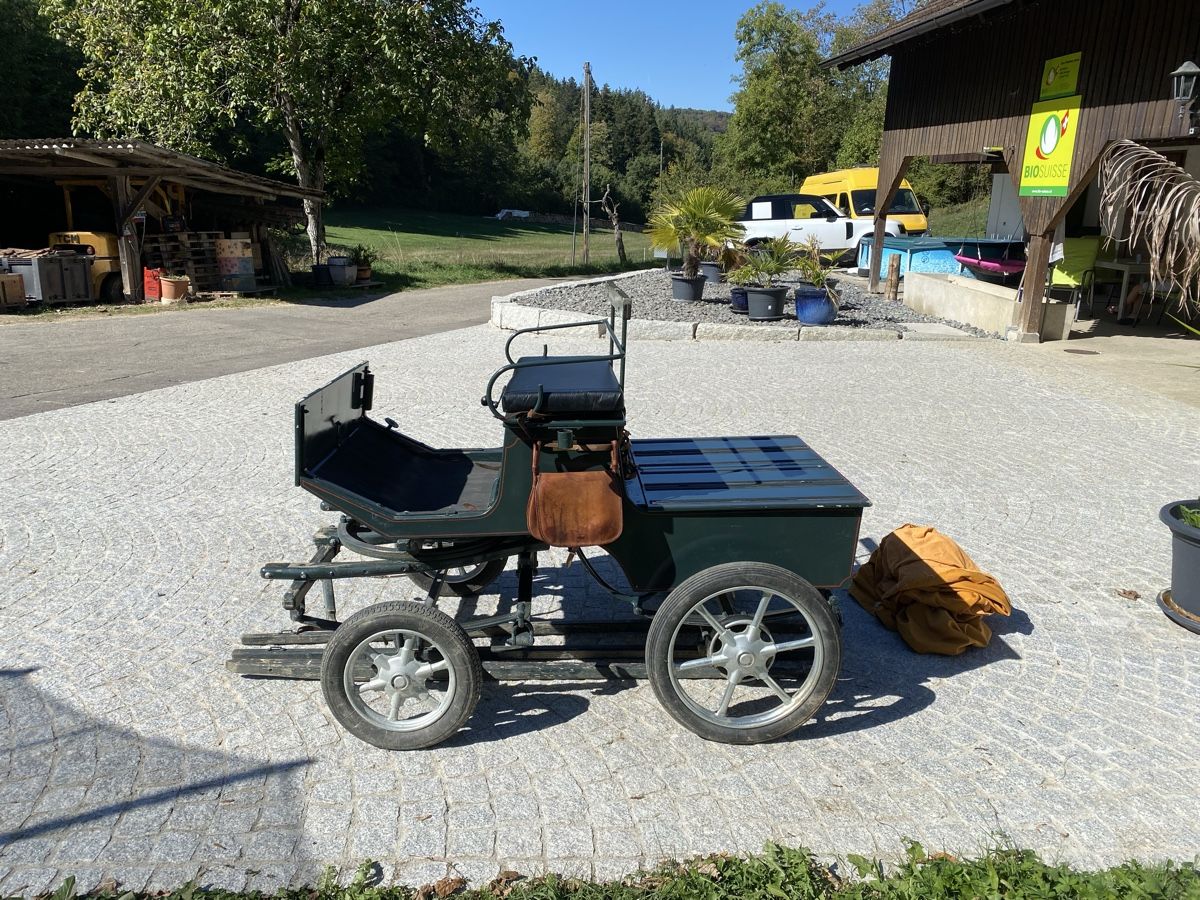 Carrozze: Pferde / Pony Kutsche Schnäppchen Scheunenfund mit Bremse !! – Usato da Tecknau venduto da Garage_St.Buser 2