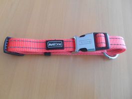 Hundehalsband Gr. S - NEU - ungetragen