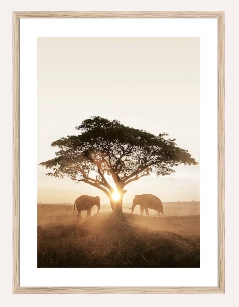 Foto & Immagini: 4 schöne Poster 70 x 100cm – Usato da Zürich venduto da sim_j8hh 5