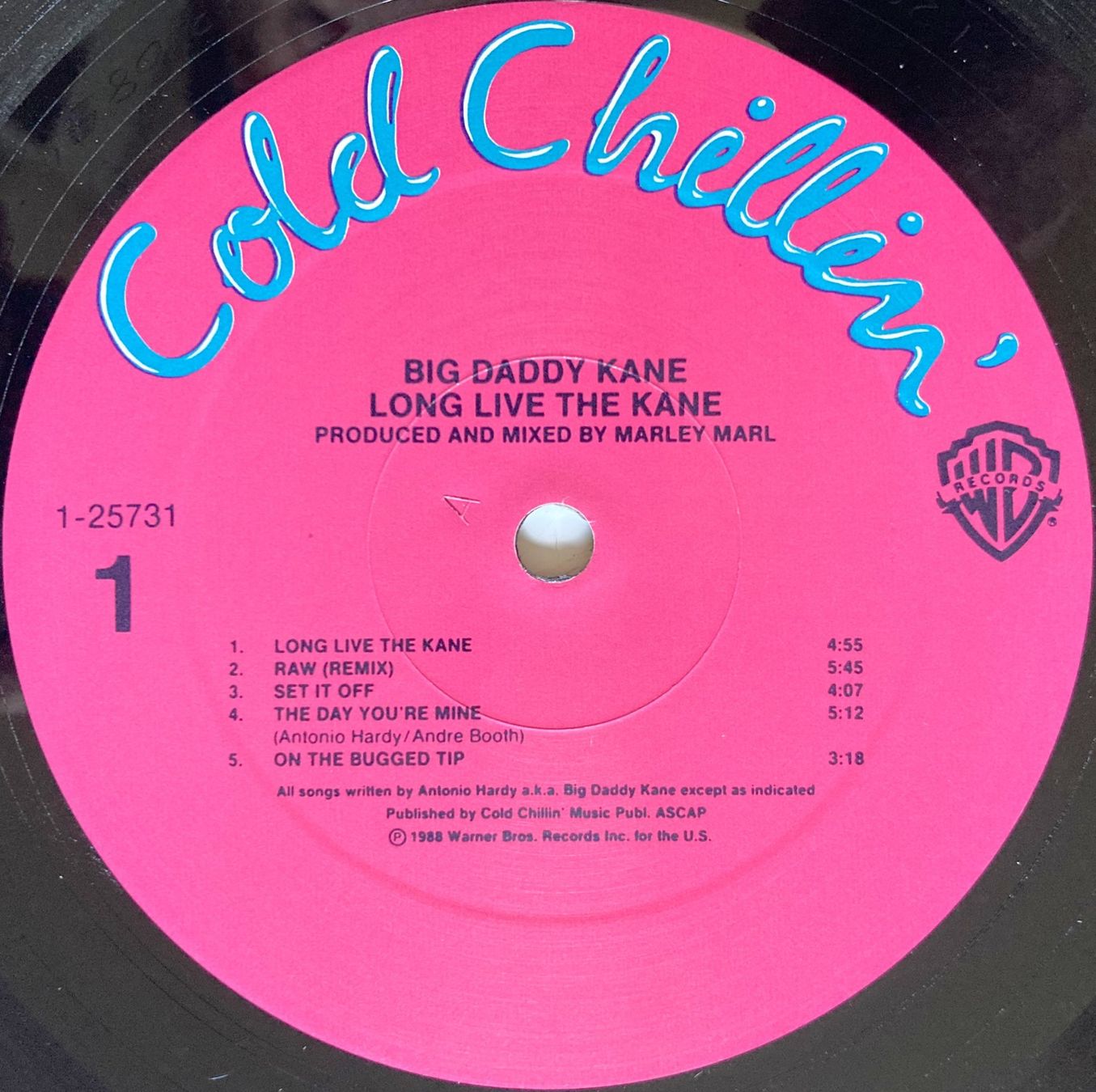 Dischi in vinile: BIG DADDY KANE - LONG LIVE THE KANE – Usato da Bottens venduto da hotter-than-hell 2