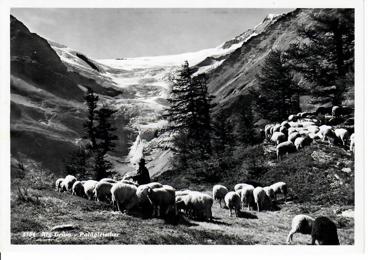 Cartoline postali: Alp Grüm Palügletscher – Usato da Hochdorf venduto da Ziegel-16