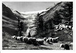 Alp Grüm Palügletscher
