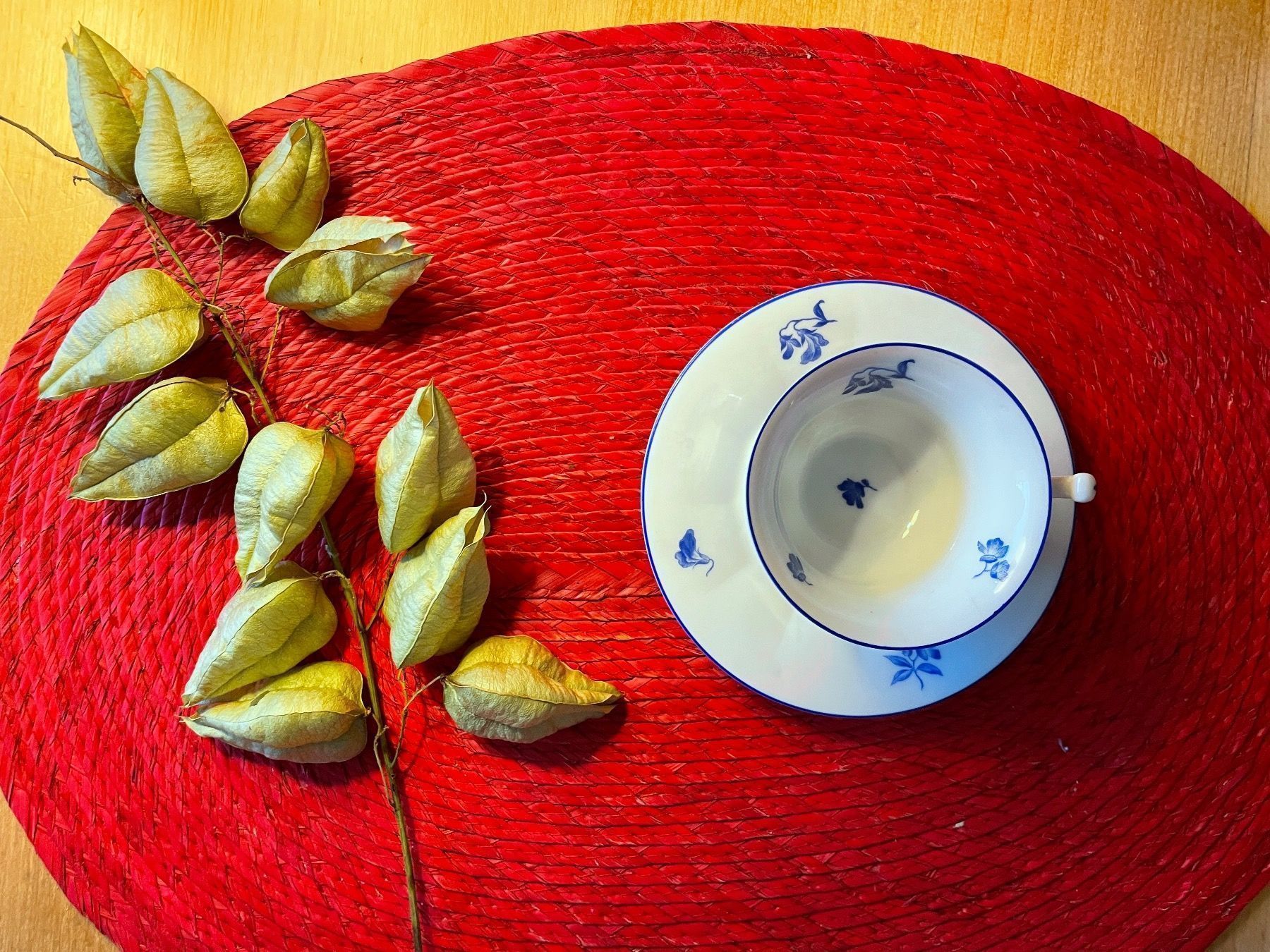 Rosenthal Tazze: Sammlung Rosenthal Kafeetasse – Usato da Basel venduto da Cynthiasanchez 5