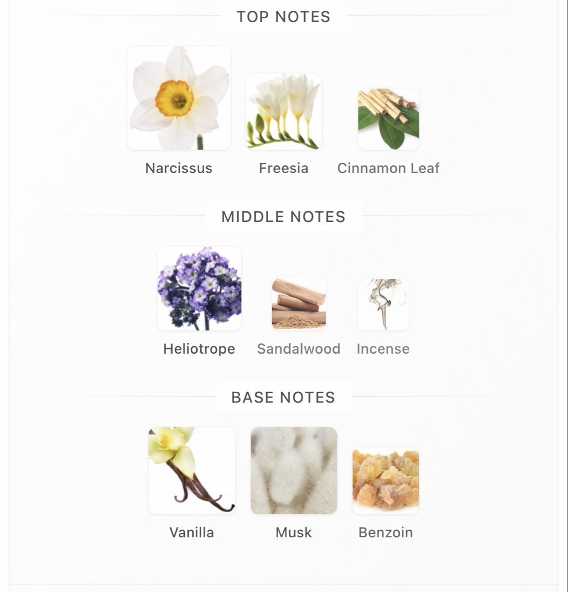 Parfums & Eau de Toilette: Memo Paris Siwa – Neuf (Voir description) à Winterthur par Selinnn 6