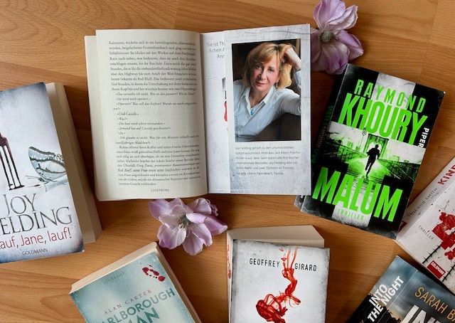 Libri: Joy Fielding, Raymond Khoury, Tom Rob Smith, Alan Carter, .. – Usato da Bern venduto da Denzel8 9