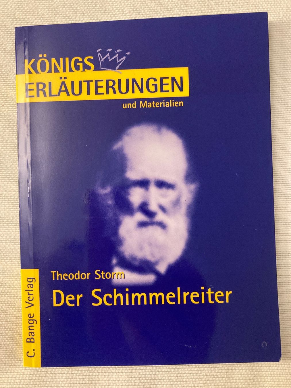 Libri: Theodor Storm, Der Schimmelreiter – Usato da Baden venduto da Yoyo1