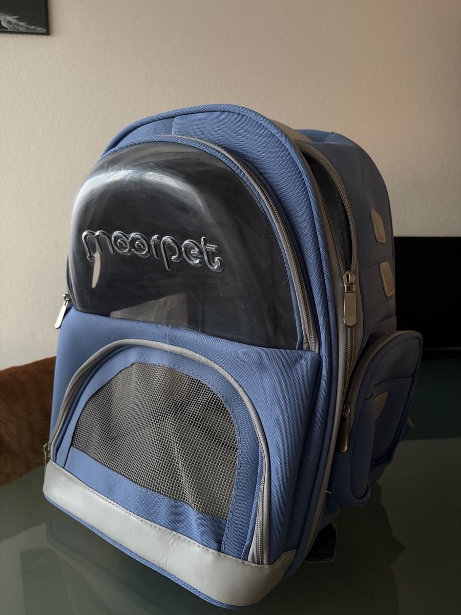 Sacs: Katzentransportrucksack – Neuf (Voir description) à Emmenbrücke par dylan_esteban19 1