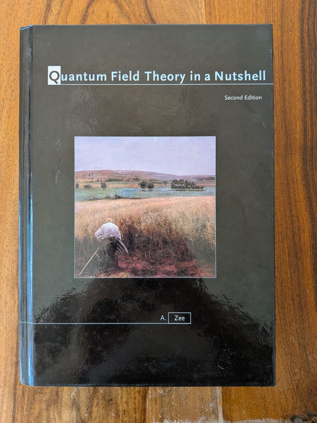 Libri: Quantum Field Theory in a Nutshell (A. Zee) – Usato da Zürich venduto da luk_9vrt