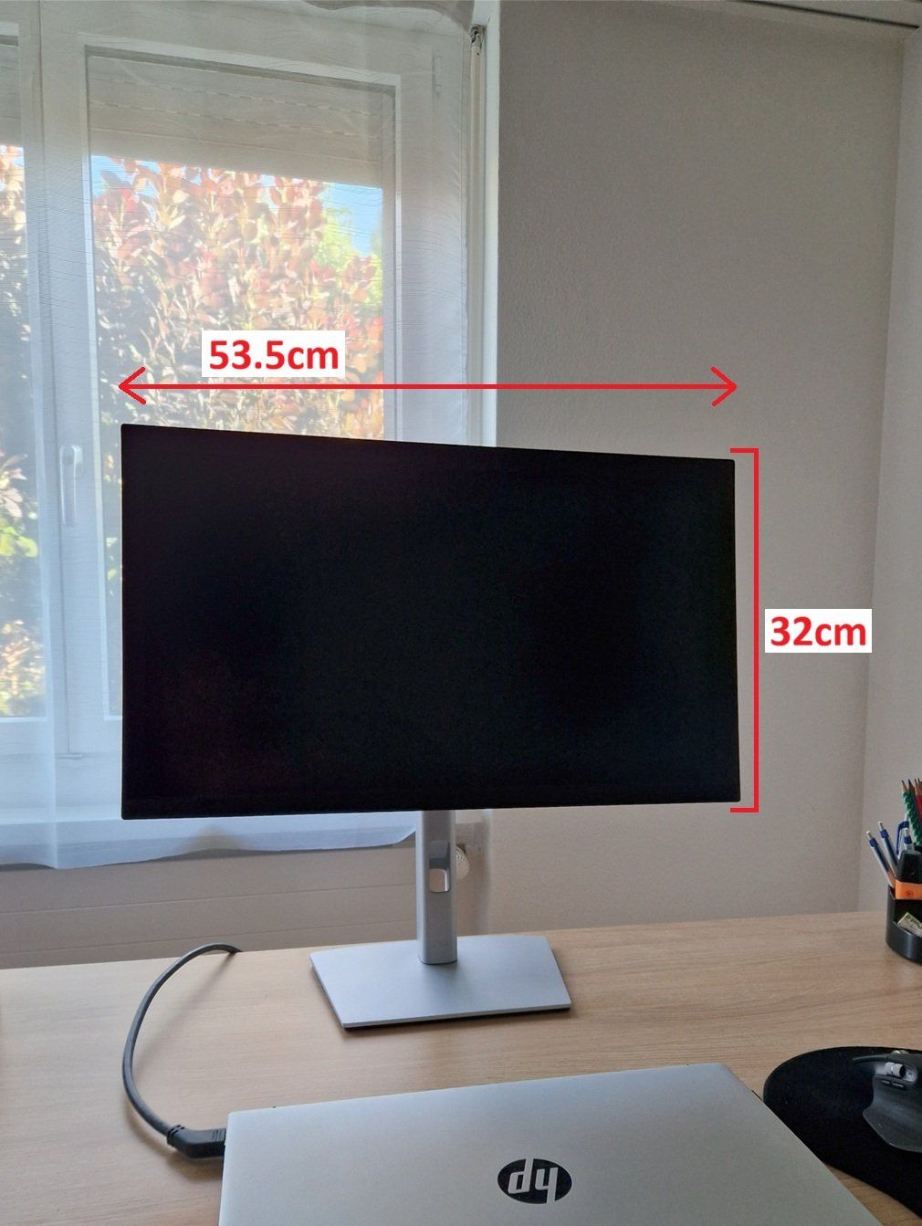 Dell Monitor: DELL P2425D (2560 x 1440) – Usato da Oberglatt ZH venduto da Dean_Busi 1