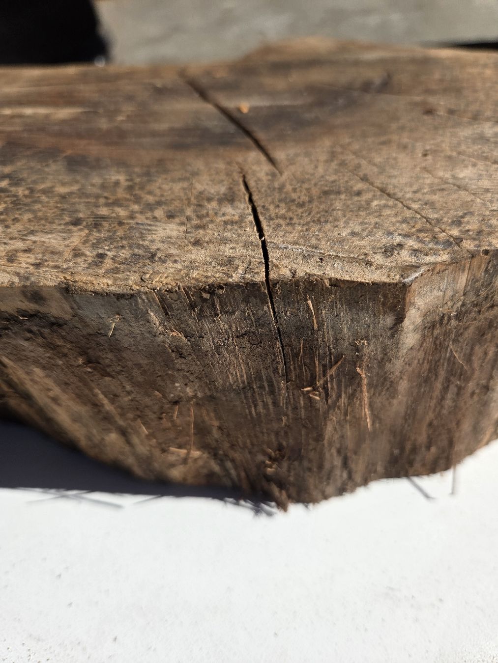 Articoli in legno: Nussbaum Baumscheibe / Holzscheibe rustikal – ca. 28 cm – Nuovo e nell'imballaggio originale da Muttenz venduto da Candro99 7