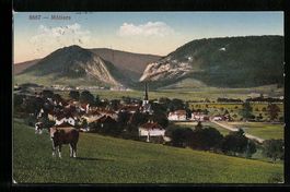 Motiers, Totale von der Bergwiese aus ge