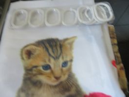Dusch vorhang Katzen