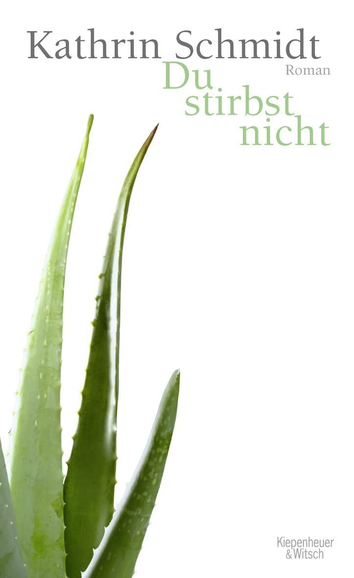 Libri: Du stirbst nicht - Kathrin Schmidt – Usato da Volketswil venduto da Happy-Stuff