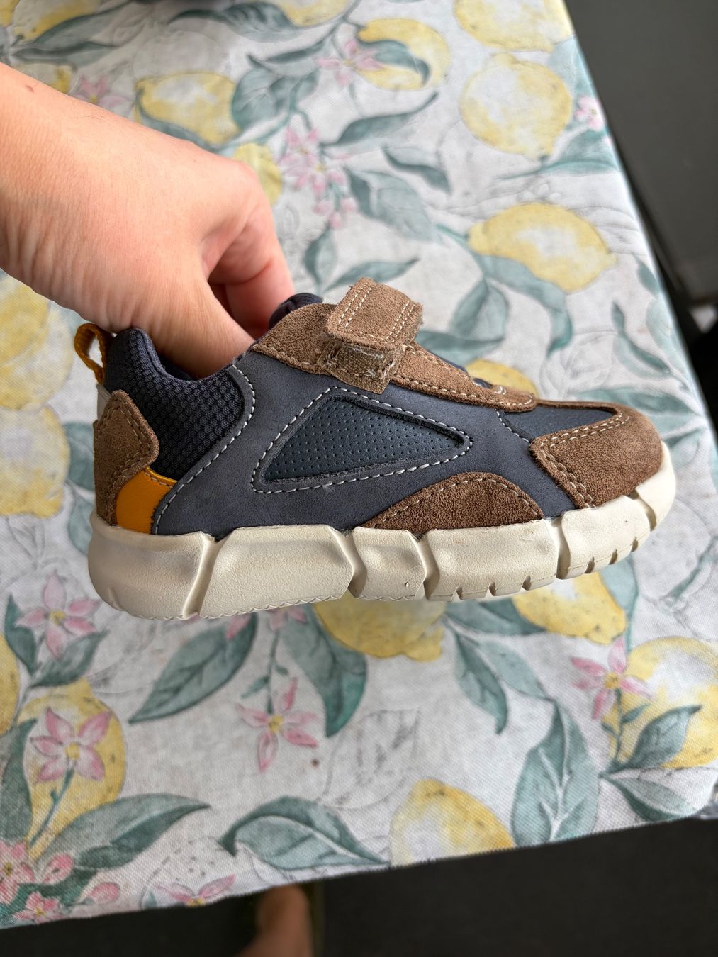 Geox Schuhe für Jungen: Geox Herbst Schuhe – Gebraucht aus Schlieren von gor_jgx7 1